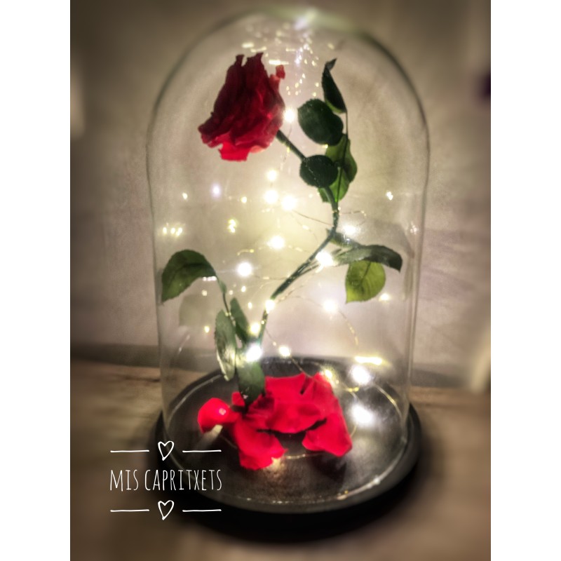Cúpula rosas preservadas CARLA