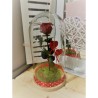 Cúpula rosa preservada valentina