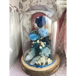 Cúpula rosas preservadas CARLA  (3 rosas)