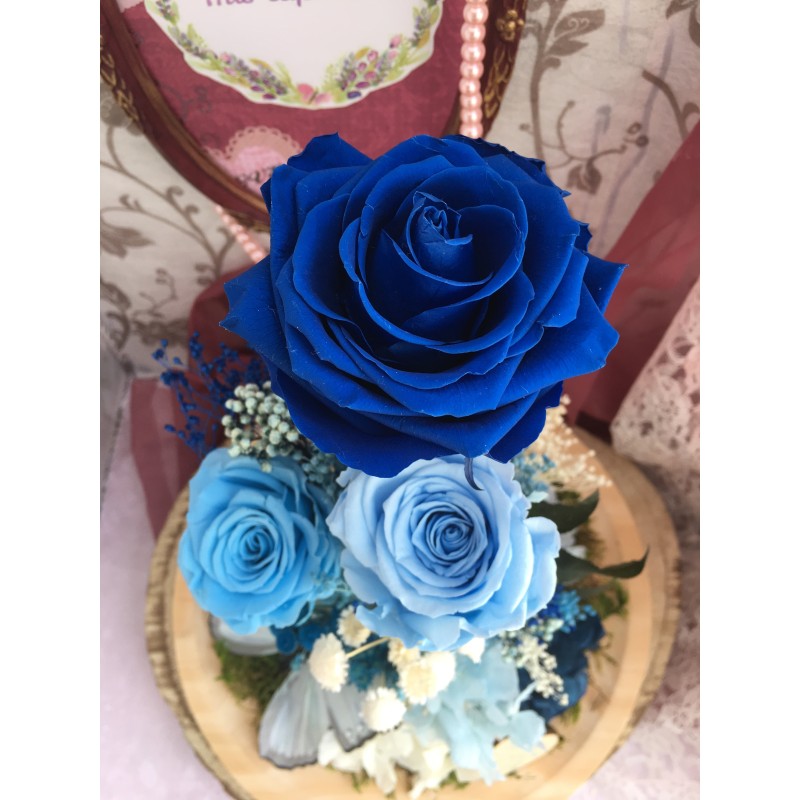 Cúpula rosas preservadas CARLA