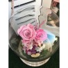 Cúpula rosas preservadas CARLA