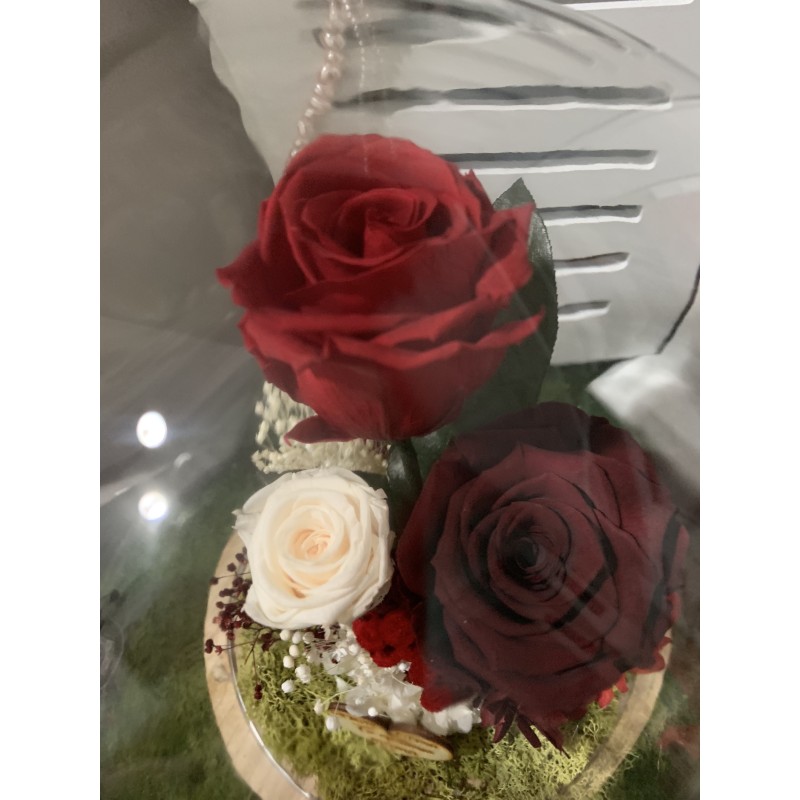 Cúpula rosas preservadas CARLA