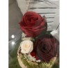 Cúpula rosas preservadas CARLA