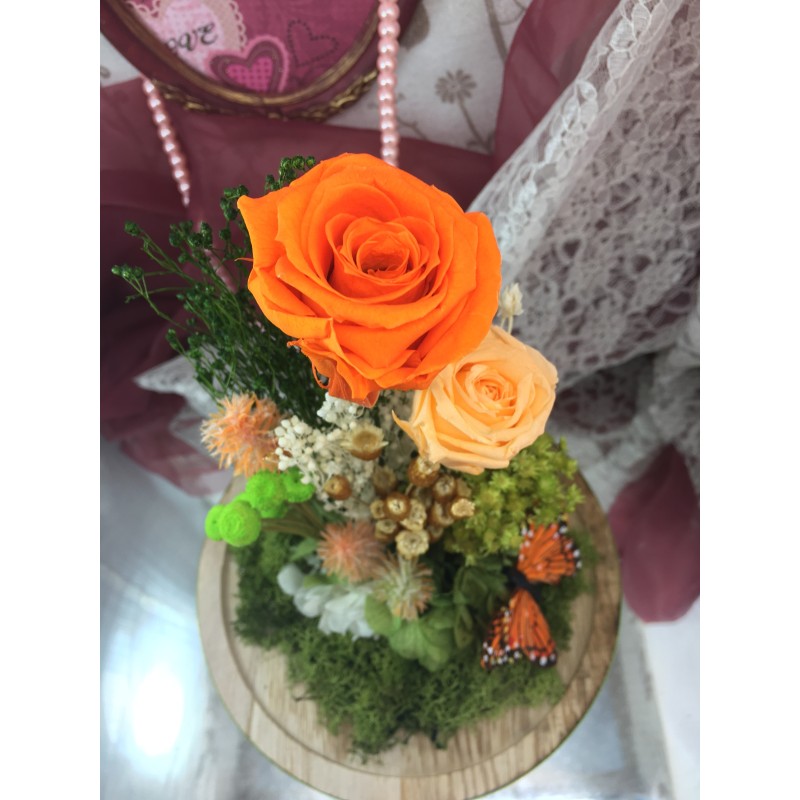 Cúpula rosas preservadas CARLA