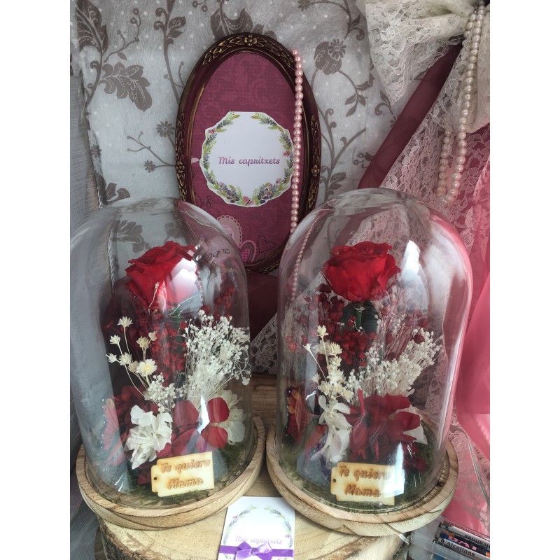Cúpula rosas preservadas CARLA