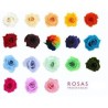 Cúpula rosas preservadas CARLA