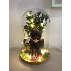 cúpula temática harry potter 25cm